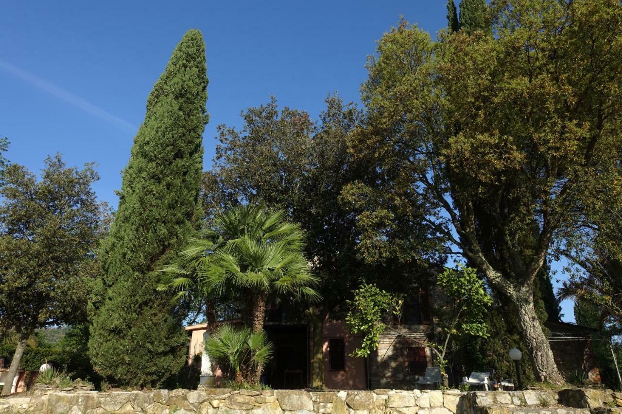 Podere La Fornace Ravi Extérieur photo
